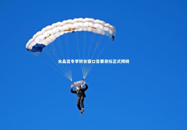 【开云】水晶宫冬季转会窗口首要目标正式揭晓