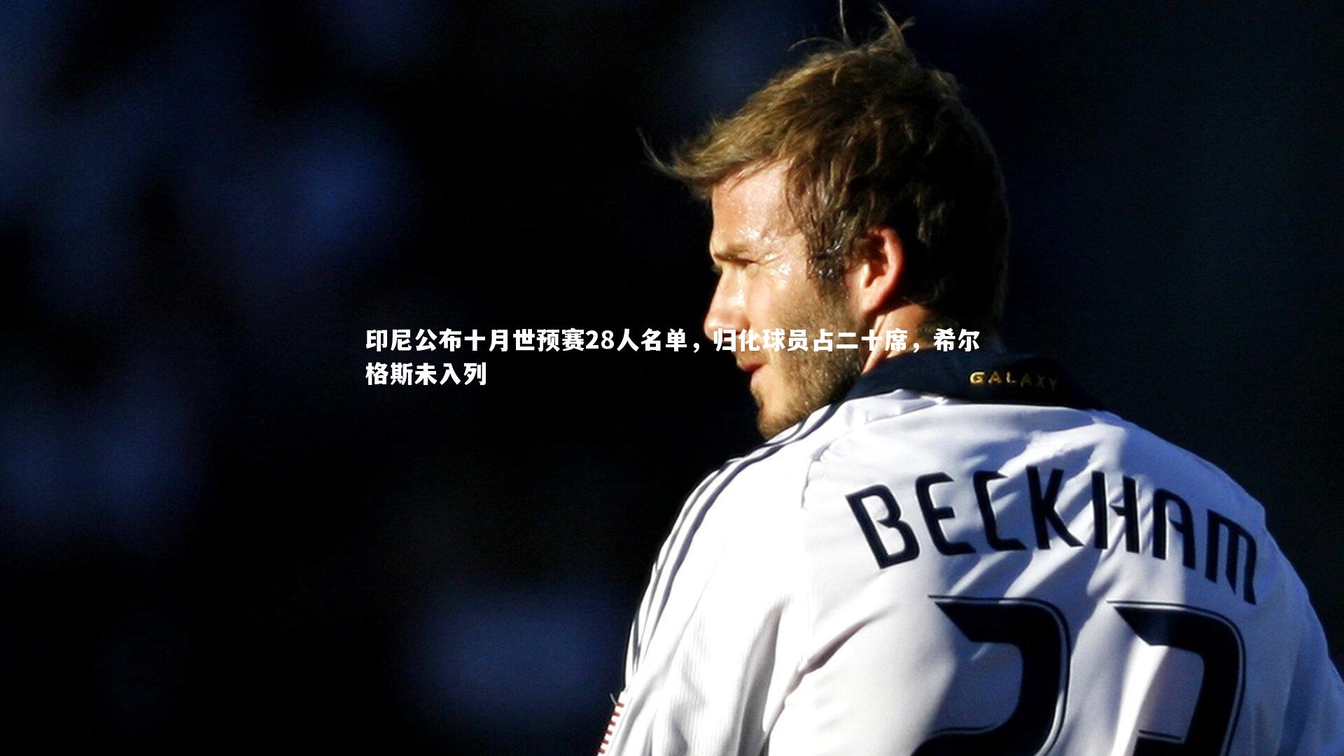 印尼公布十月世预赛28人名单，归化球员占二十席，希尔格斯未入列